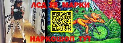 стаф Пенза