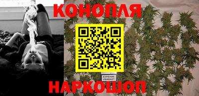 стаф Пенза