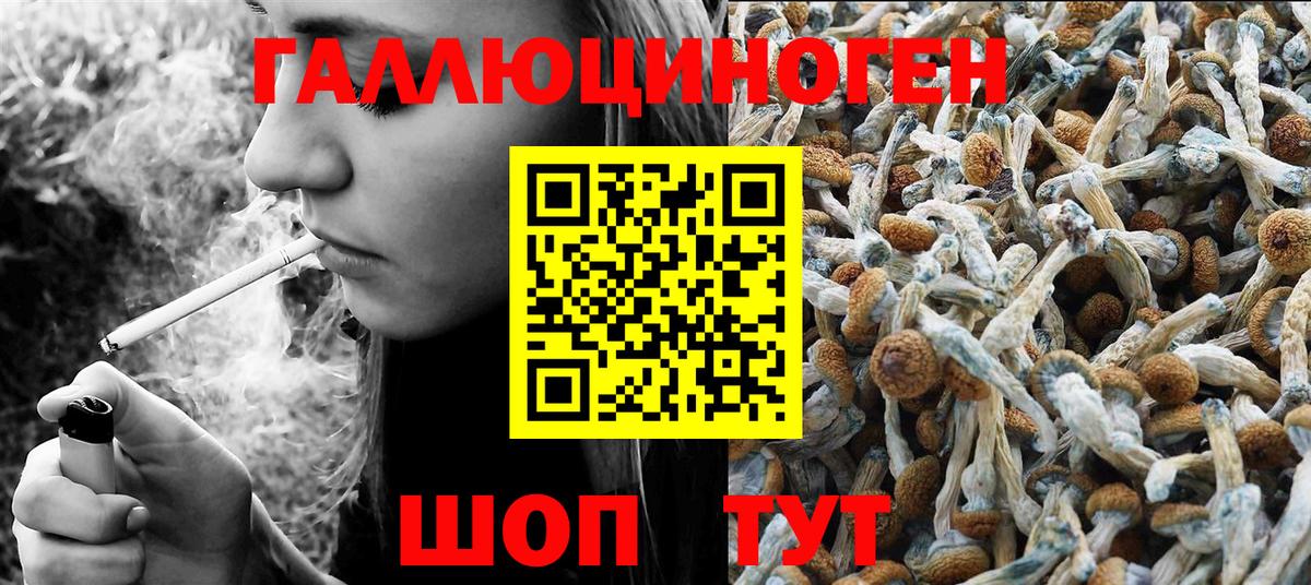 Галлюциногенные грибы ЛСД  Вход с VPN  закладка  Нижний Новгород 