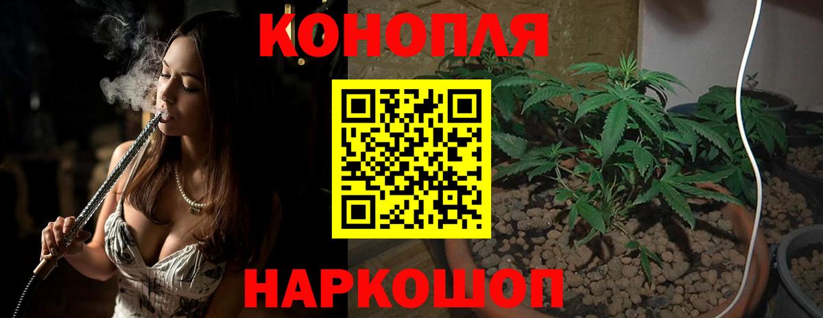 Конопля планчик  Бошки марихуана индика  Вход с VPN  Нижний Новгород  Шишки марихуана конопля 